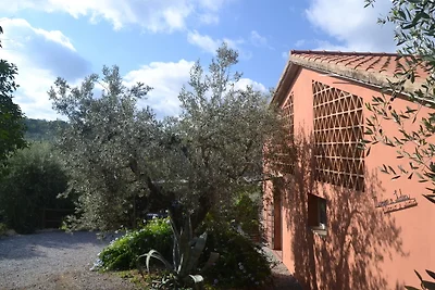 Tranquilla casa vacanze con giardino