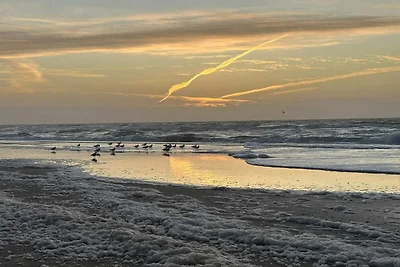 Ruim toevluchtsoord voor 20 -- By Traum...