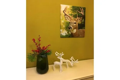 Ferienhaus mit 3 Schlafzimmer