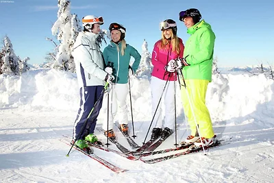 Apartment in Flachau near Ski Slopes