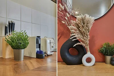 Wohnung im Zentrum von Paris/Montmartre