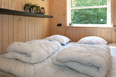 6 persone case ad Hadsund