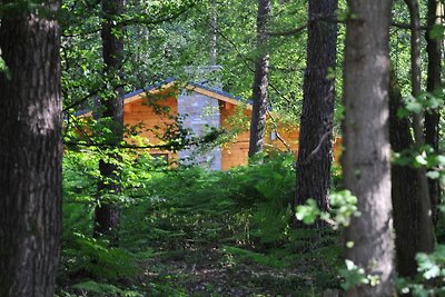 Modernes Holzchalet im Wald, mit Holzofen