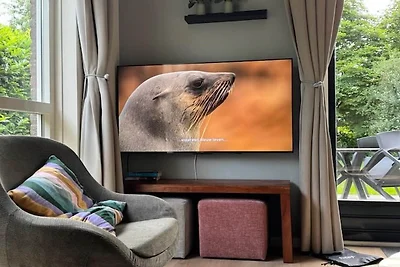 Waldrefugium mit Solarladegerät