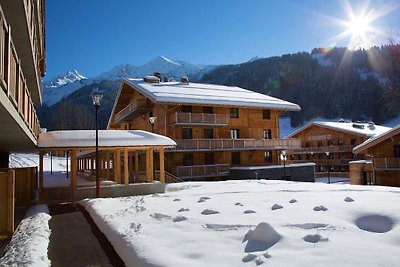 Luxury apartment in the attractive ski resort...