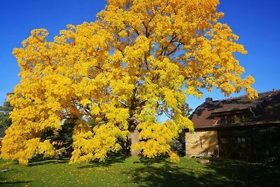 Töpferhof Wetenca