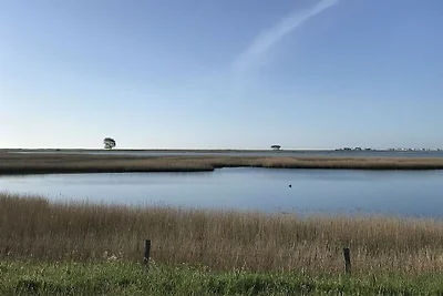 Strandgut Wackerballig