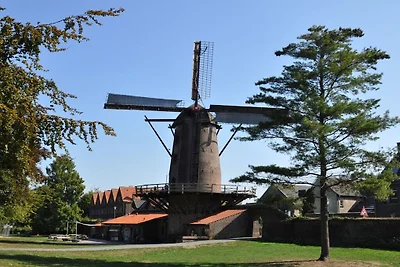Am Wäldchen Steenbrukshof
