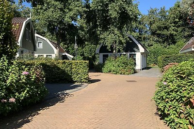 Schönes Ferienhaus in der Nähe der Dünen