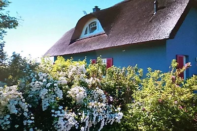 Ferienhaus mit 2 Schlafzimmer
