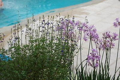 Stilvolles Ferienhaus in Montfort-sur-Argens ...