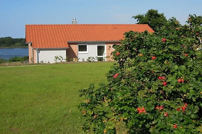 Marina Hülsen - The Blackberry Shore House