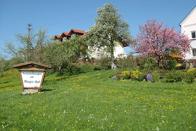 Ferienwohnung mit eigener Terrasse, Garten