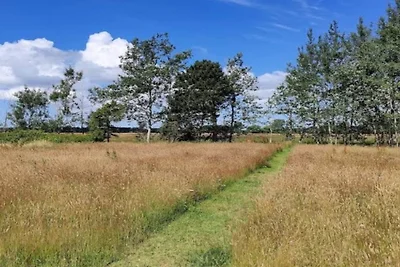 4 persoons vakantie huis in Hals-By Traum