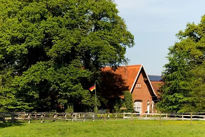 Ferienwohnung mit 1 Schlafzimmer