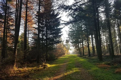 8 Personen Ferienhaus in Toftlund-By Traum
