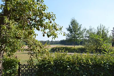 Ruime boerderij in Rekken wellnessruimte