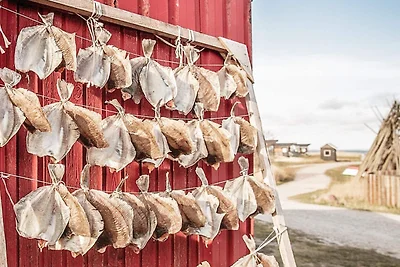 7 persone case ad Hvide Sande-By Traum