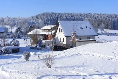 Gemütliches Apartment in Werda mit Garten