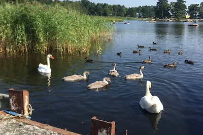 4 Sterne Ferienhaus in SÖLVESBORG