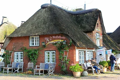 Westerheide Komfortable Ferienresidenz