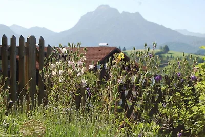 Lo chalet in giardino