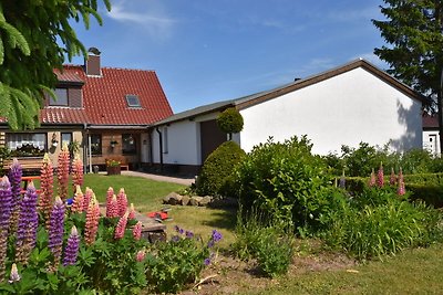 Gemütliche Ferienwohnung mit Garten in...