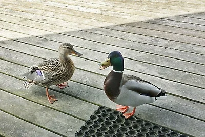 6 Personen Ferienhaus in Otterndorf