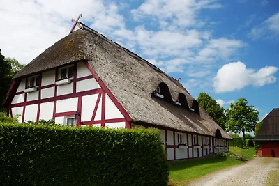 Wohnung mit Terrasse in Klütz
