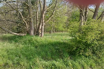 Meeresflucht in Praesto -- By Traum...