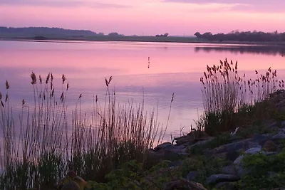 Ferienhaus in Maasholm mit Schwimmbecken