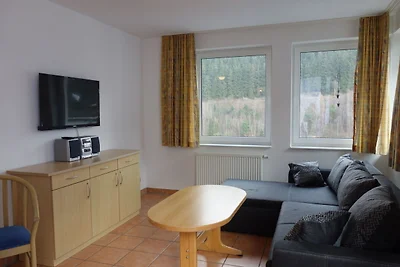 Casa vacanze a Willingen con impianto di risa...
