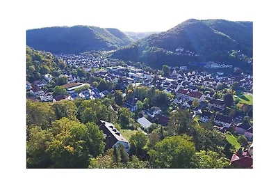 Villa Freudenberg
