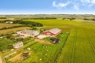 4 Personen Ferienhaus in Snedsted