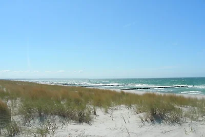 Ostsee mit Hund