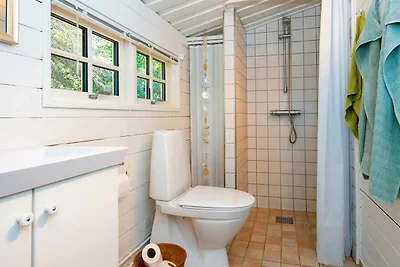 5 persone case ad Ulfborg-By Traum