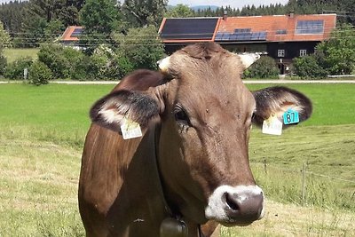 Hiemer 2 Residenza di vacanza confortevole