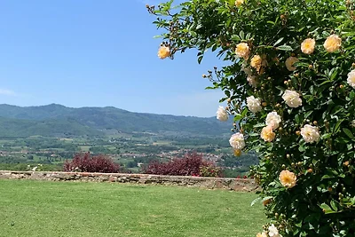 Spazioso appartamento con giardino privato
