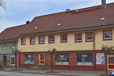 Moderne Wohnung in Elbingerode in der Nähe de...