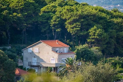 Apartments & Rooms Tapera- Comfort One-Bedroo...