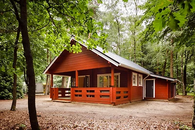 Lodge di legno con terrazza, a Veluwe