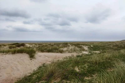 4 Personen Ferienhaus in Fjerritslev