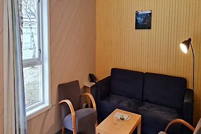 4 persone casa vacanze parco a Lærdal