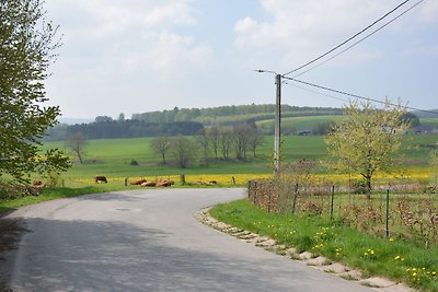 Ferienhaus Erholungsurlaub Tenneville