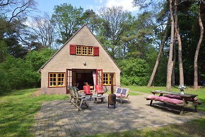 Gemütliches Ferienhaus am Wald in Zuidwolde