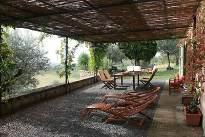 Glicine - Vigna Luisa Resort