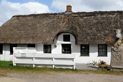 Traditionelles Cottage in Blåvand im Wald