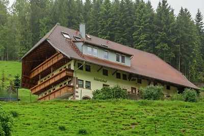Casa vacanze Vacanza di relax Mühlenbach