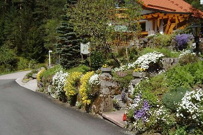 Valleizicht in het “Ferienhaus Schenk”