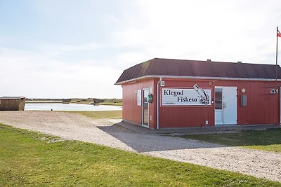 18 persone case ad Ringkøbing